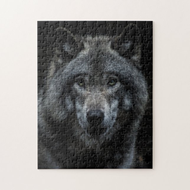 Graue Wolf Waldtiere Wildtiere Natur Nah nachsehen (Vertikal)