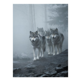 Graue Wölfe im dichten Nebel Poster