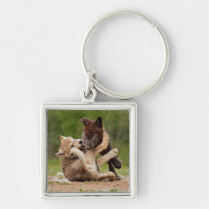 Graue Wolfwelpen ringen Schlüsselanhänger