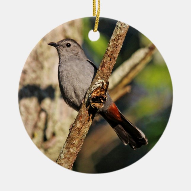 Grauer Catbird-Verzierung Keramikornament (Vorne)