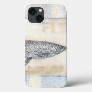 Grauer Fisch auf Beige Hintergrund title_seo2