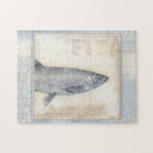Grauer Fisch auf beigem Hintergrund