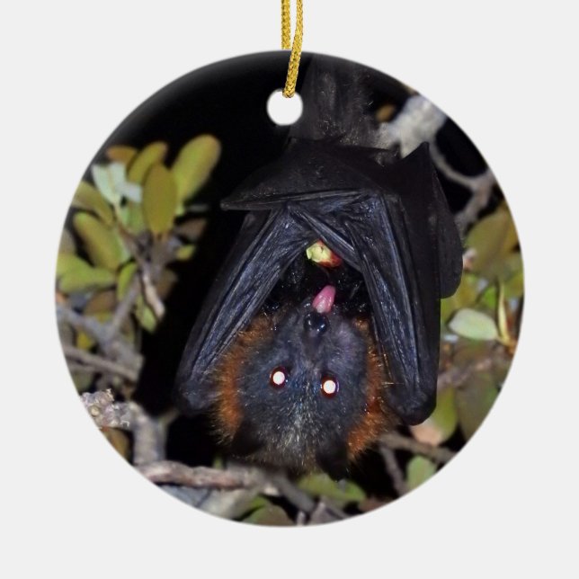 Grauer Flying Fox Keramikornament (Vorne)