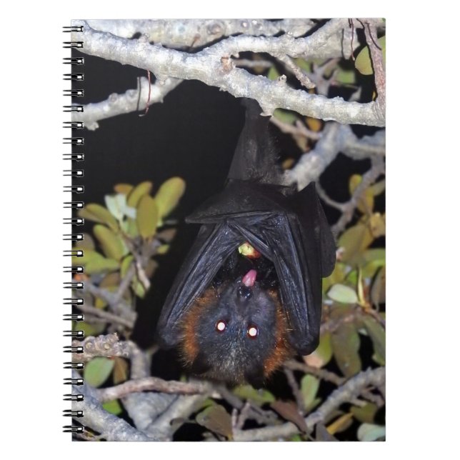 Grauer Flying Fox Notizblock (Vorderseite)