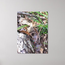 Grauer Frühlingsmörtel auf Leinwand