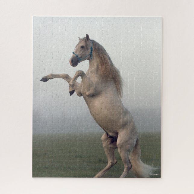 Grauer Lusitano-Hengst in Nebel (Vertikal)