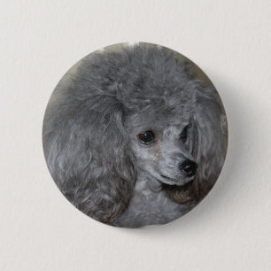 Grauer Pudel-Knopf Button