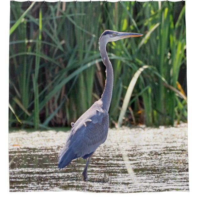 Grauer Reiher Duschvorhang (Vorderseite)