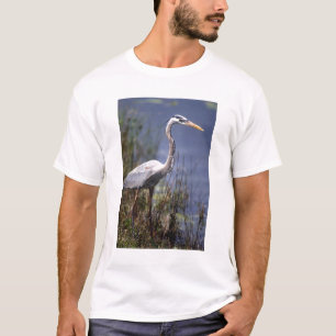 Grauer Reiher Wasservogel T-Shirt