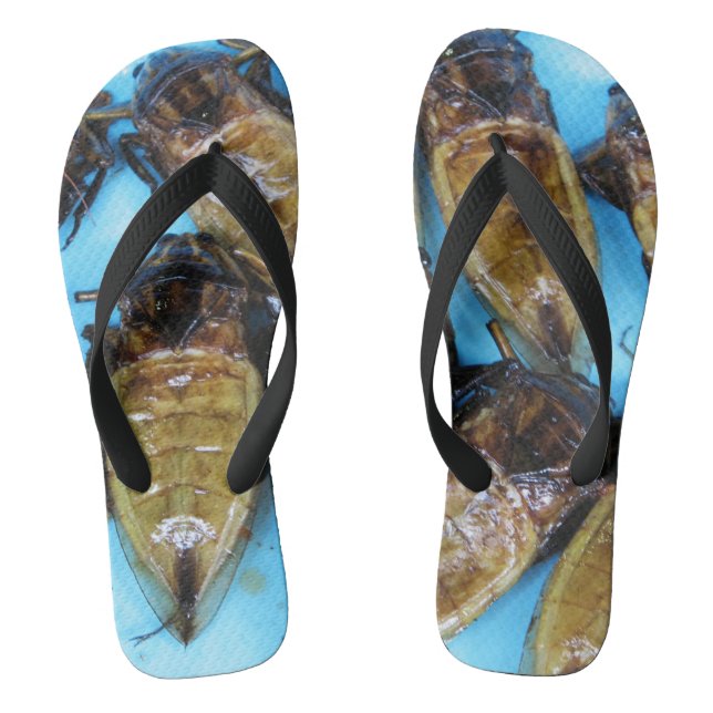 Grauer Riesenwasserbug (Maeng Daa) ... asiatisches Flip Flops (Fußbett)