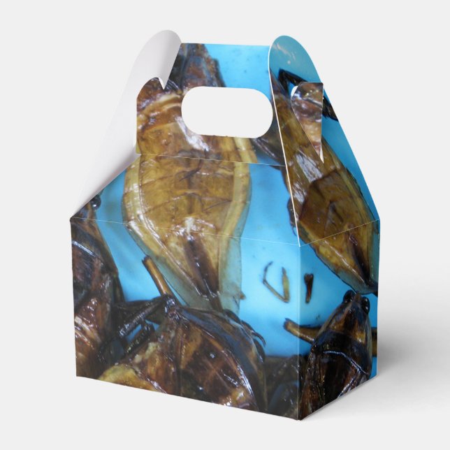 Grauer Riesenwasserbug (Maeng Daa) ... asiatisches Geschenkschachtel (Vorderseite)