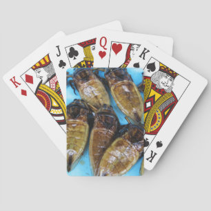 Grauer Riesenwasserbug (Maeng Daa) ... asiatisches Spielkarten