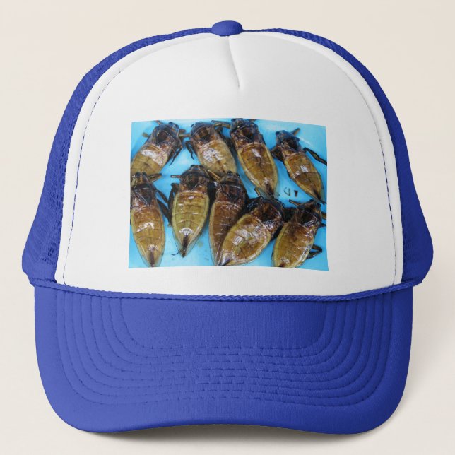Grauer Riesenwasserbug (Maeng Daa) ... asiatisches Truckerkappe (Vorderseite)