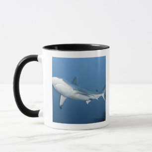 Grauer Rifhaifisch (Carcharhinus amblyrhynchos) Tasse