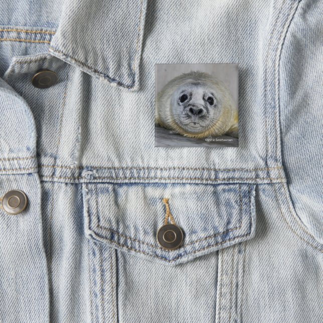 Grauer Siegel-Welpe Button (Beispiel)