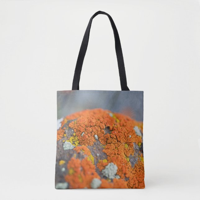Grauer Stein Tasche (Vorderseite)