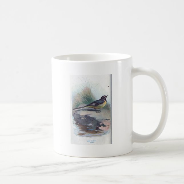 Grauer Wagtail Kaffeetasse (Rechts)