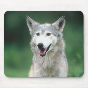 Grauer Wolf 2 Mousepad
