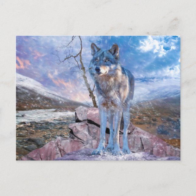 Grauer Wolf ANTWORTET DEN ANRUF Postkarte (Vorderseite)