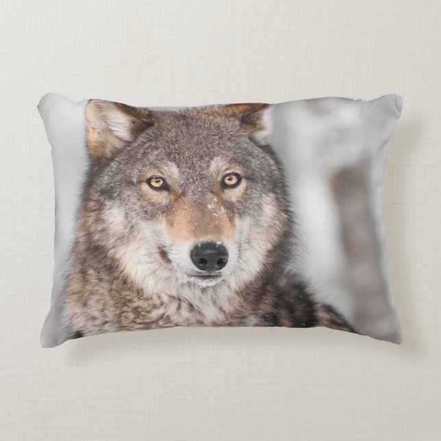 Grauer Wolf (Canis Lupus) mit einer Ohr-Rückseite Zierkissen (Vorderseite)