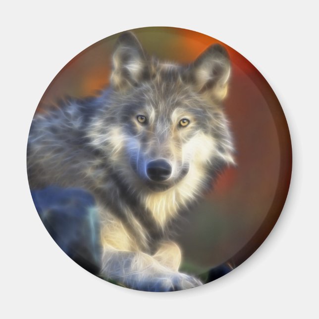 Grauer Wolf, Digitale Fotografie gefährdeter Arten Magnet (Vorne)