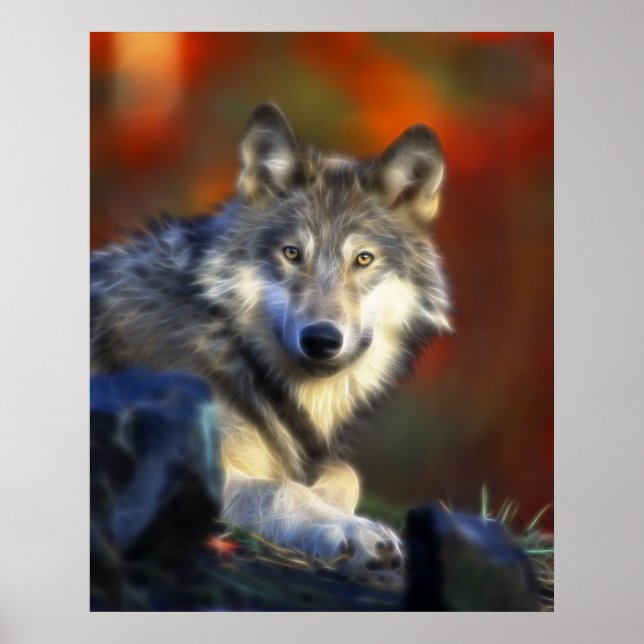 Grauer Wolf, Digitale Fotografie gefährdeter Arten Poster (Vorne)