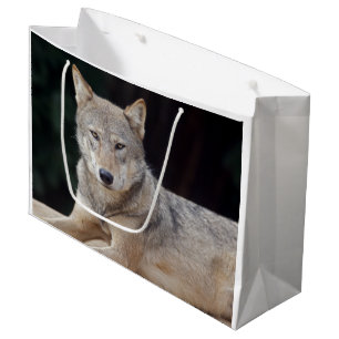 Grauer Wolf-Geschenk-Tasche Große Geschenktüte