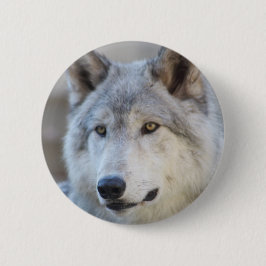Grauer Wolf-Gesicht Button