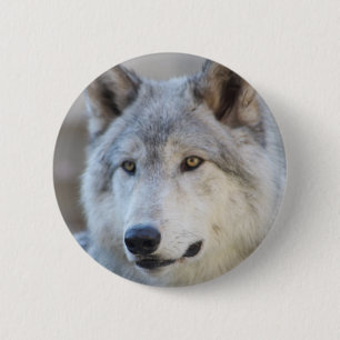 Grauer Wolf-Gesicht Button