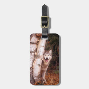 Grauer Wolf hinter einem Baum Gepäckanhänger