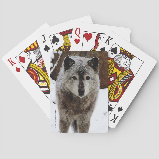 Grauer Wolf im Schnee Spielkarten (Rückseite)