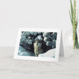 Grauer Wolf in der Schnee-Foto-Karte Karte