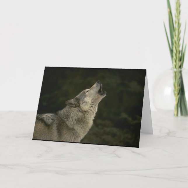 Grauer Wolf Karte (Vorderseite)