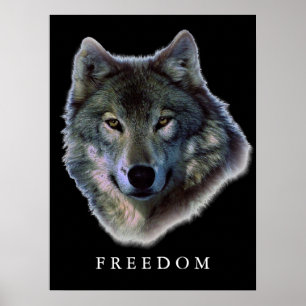 Grauer Wolf Motivierend Freedom Poster Print