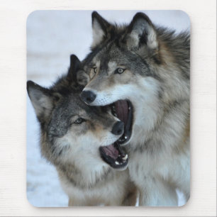 Grauer Wolf Mousepad