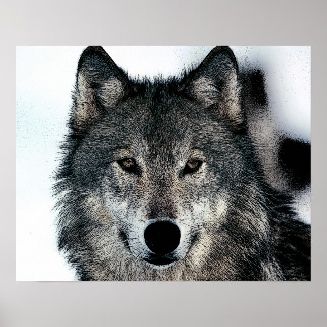 Grauer Wolf Poster (Vorne)