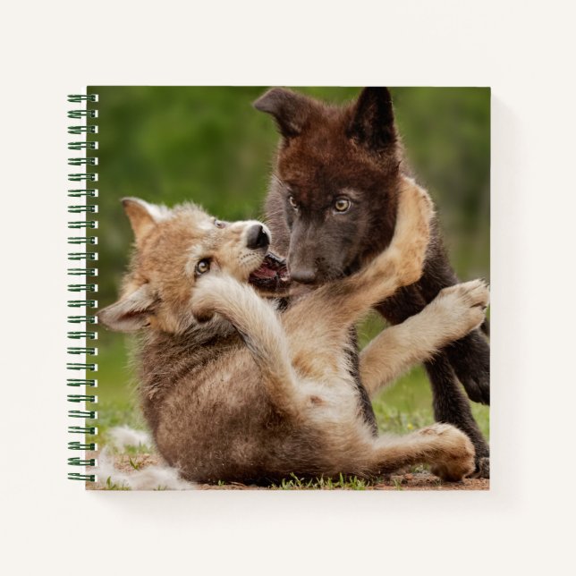 Grauer Wolf Pups Wrestling Notizbuch (Vorderseite)