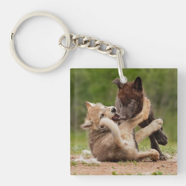 Grauer Wolf Pups Wrestling Schlüsselanhänger (Vorderseite)