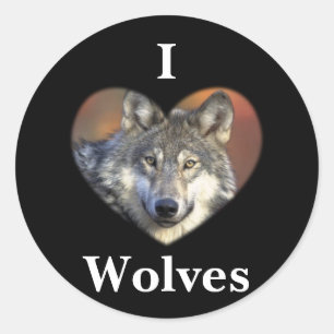 Grauer Wolf Runder Aufkleber