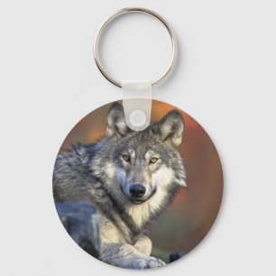 Grauer Wolf Schlüsselanhänger
