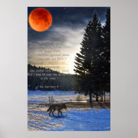 Grauer Wolf, Schnee, Blütenmond & Lake w Wolf Gedi
