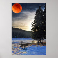 Grauer Wolf, Schnee, Blütenmond & Lake Wildlife Ar