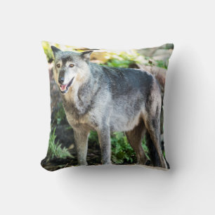 Grauer Wolf-stehendes allein Kissen