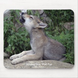 Grauer Wolf Wildlife-Unterstützer Tierfotografie Mousepad