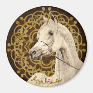 Graues arabisches Pferderunder Magnet
