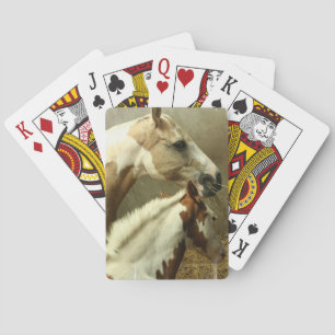 Graues Eventing Pferdekartenstapeles Spielkarten