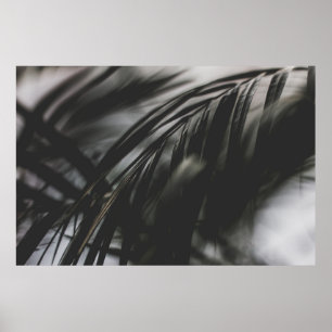 GRAUES FOTO DER PFLANZE BLÄTTER POSTER