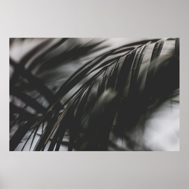 GRAUES FOTO DER PFLANZE BLÄTTER POSTER (Vorne)