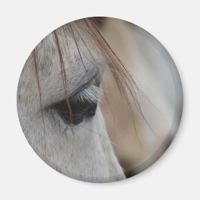 Graues Horse Eye Magnet (Vorne)