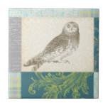 Graues Owl im Muster-Hintergrund Fliese<br><div class="desc">Gefühl künstlerisch? Holen Sie sich dieses zeitgenössische zeichn einer grauen Eule auf einem Collage-inspiriert Hintergrund. Der farbenfrohe Hintergrund ist in Blau-,  Grau- und Grüntönen gehalten. Dieser Kunstdruck wird jedes Wohnzimmer,  Bad oder Schlafzimmer aufhellen.</div>